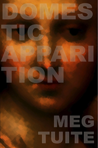 "Domestic Apparition" by Meg Tuite reviewed by Agnes Morton